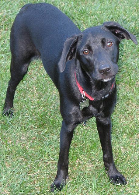 061001_Family_Gathering_05